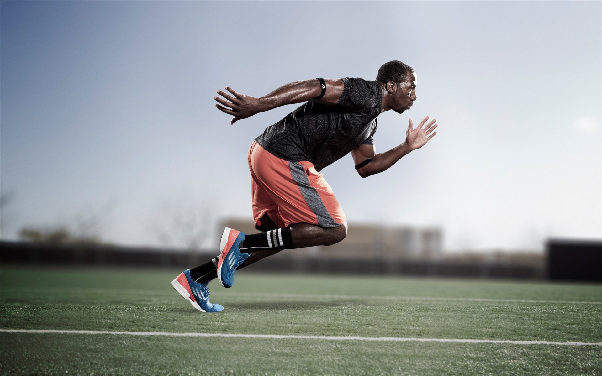 激情与归属,全球球迷文化如何塑造现代体育精神