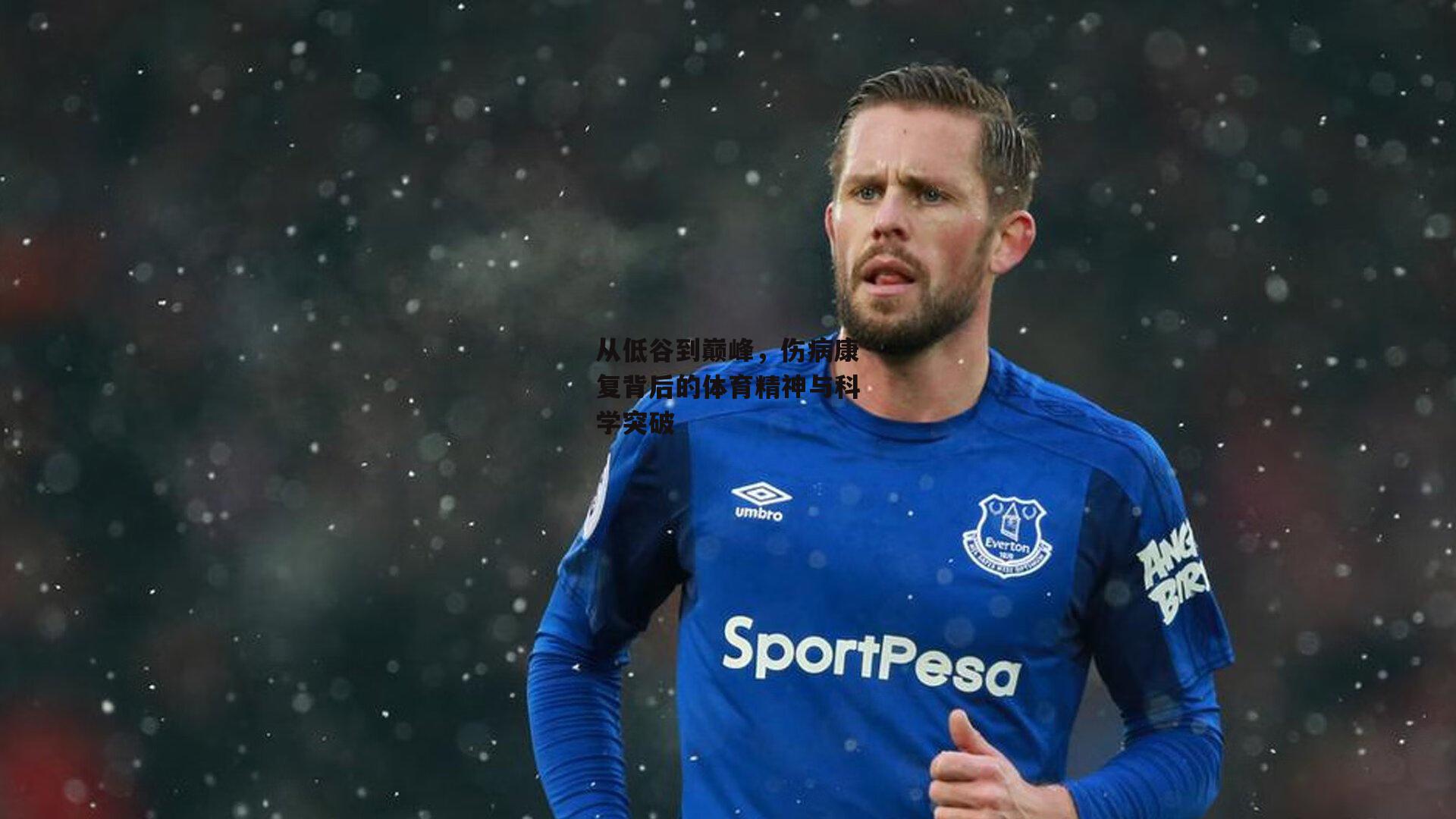 从低谷到巅峰,伤病康复背后的体育精神与科学突破