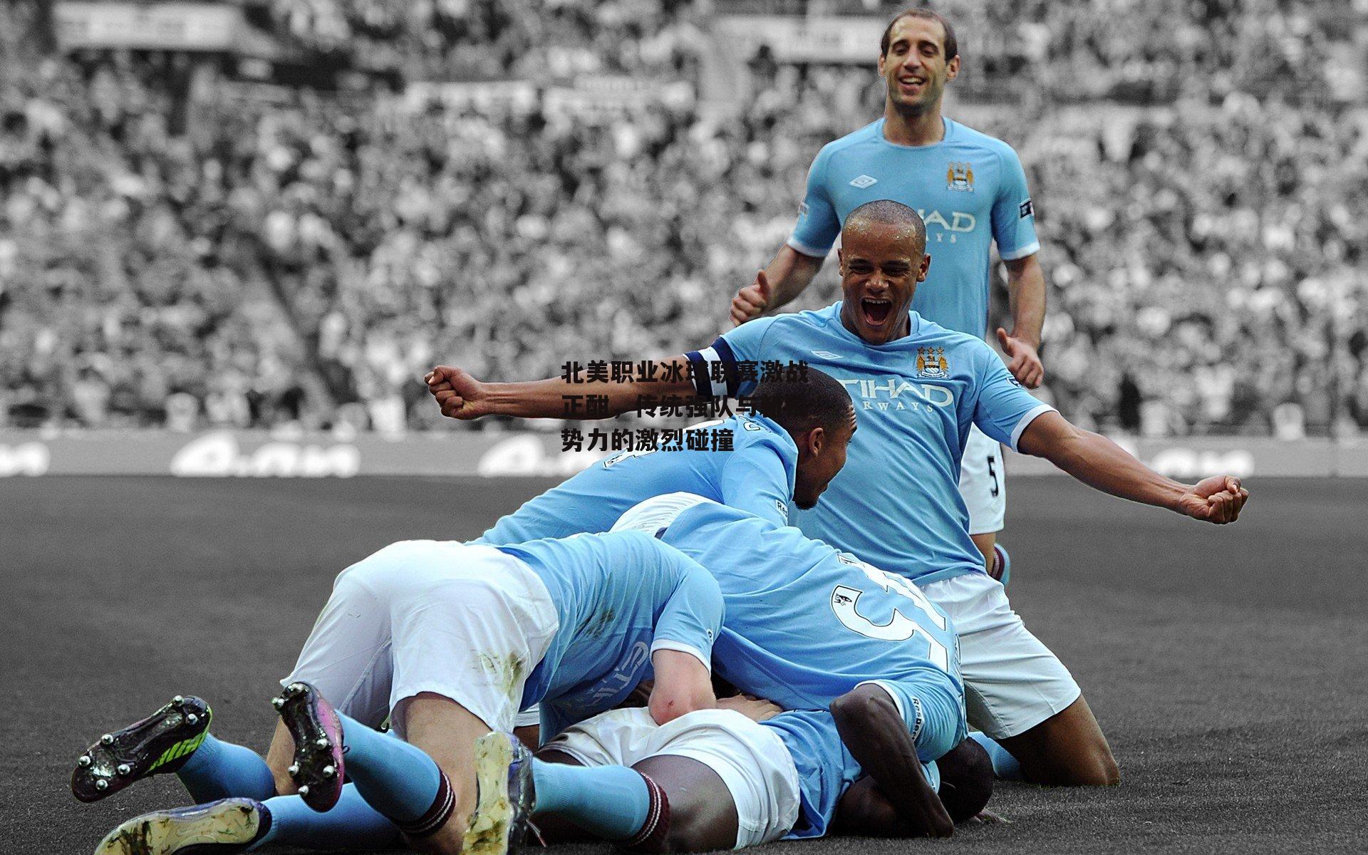 北美职业冰球联赛激战正酣,传统强队与新锐势力的激烈碰撞
